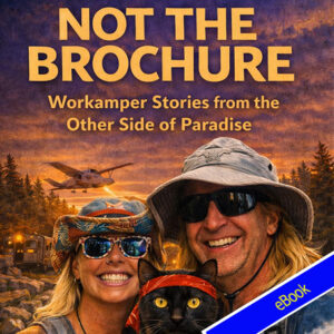 Not the brochure (eBook)