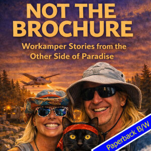 Not the brochure (Paperback B/W)