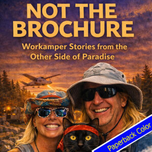 Not the brochure (Paperback color)